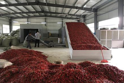 浙江省辣椒烘干生产线应用槟榔原料，精细加工追求卓越品质